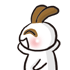 ⽴QQ