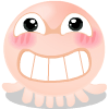 NOMO֮