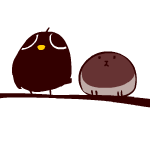 QQ֮ȥ