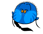 ɵ˦QQ֮