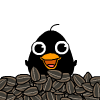 ְQQ֮