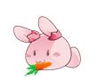 ڴCoCoӱ֮ܲ