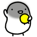 ˶QQ֮