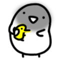 ˶QQ