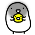 ˶¸ЦQQ
