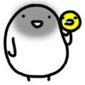 ˶QQ֮ת