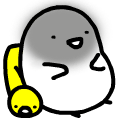 ˶QQ֮˯