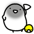 ˶QQ֮
