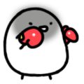 ˶QQ֮ȭ