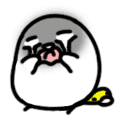 ˶QQ֮