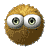 ëQQ֮գ