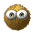 ëQQ