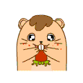 QQ֮ܲ