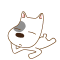 DoDoDog