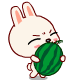 QQ֮