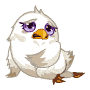 ɵQQ