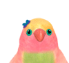 С3ſɰQQ