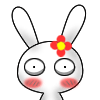 ԰QQ֮