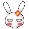 ԰QQ֮
