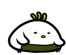 żQQ