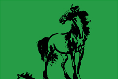 йˮīʸز