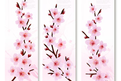 ӣbannerʸز