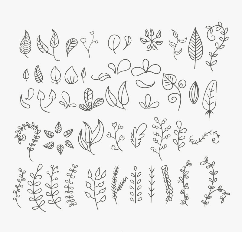 eps格式,含jpg预览图,关键字:树叶,叶子,手绘,植物,矢量图