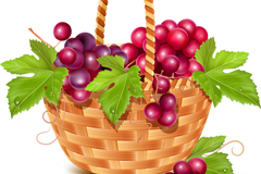 ˮʸز