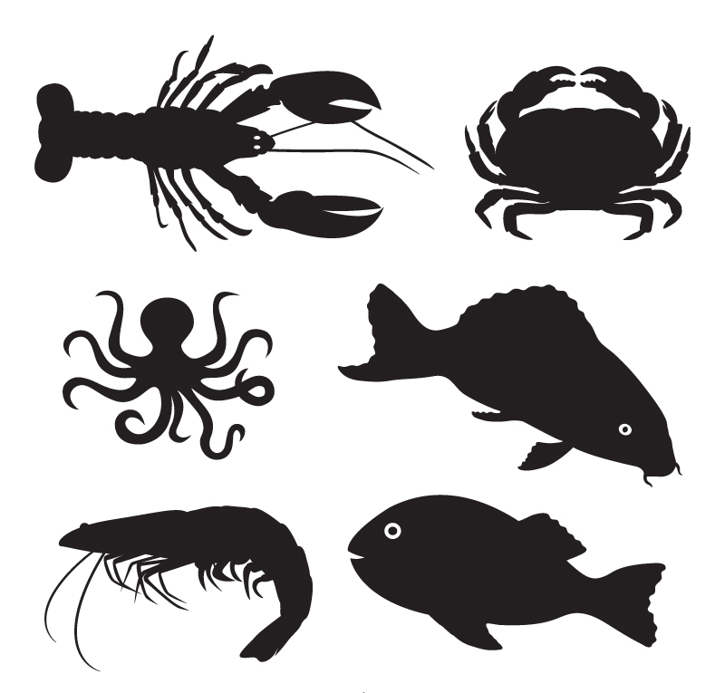 6款海洋生物剪影矢量素材