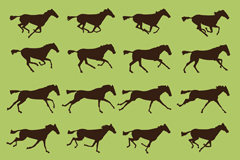 16ۿӰʸز