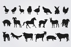 20ũӰʸز