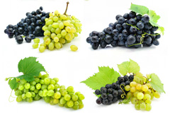 7组葡萄高清图片素材