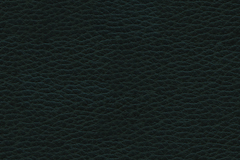 ɫƤƱʸز