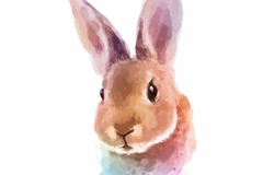 ˮͷʸز