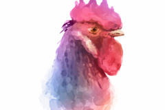 ˮʹͷʸز