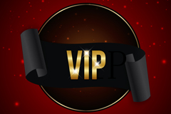ɫVIP˿ʸͼ