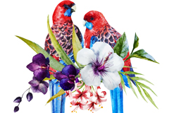 ˮʻõʸز