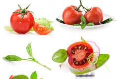 西红柿沙拉高清图片