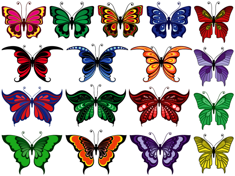18种蝴蝶图案图片