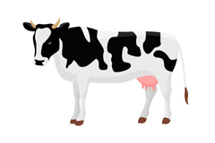 ڰ׻ţʸز