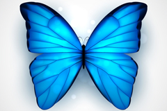 ɫʸز