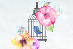 ˮʻܺʸز