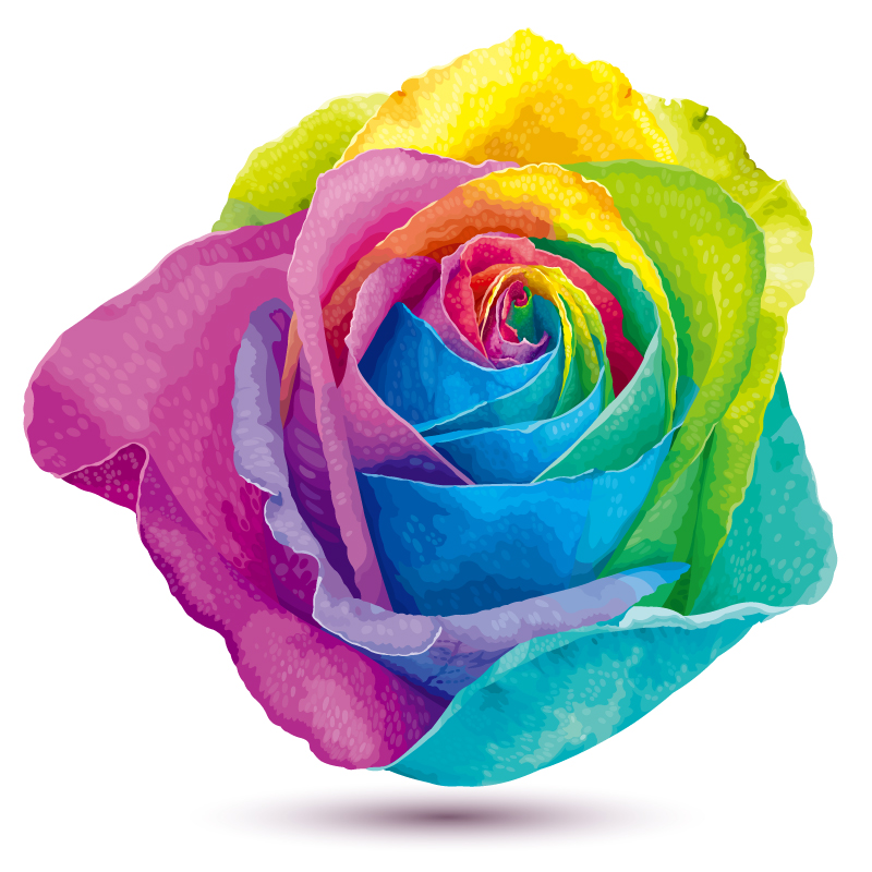 彩虹色玫瑰花矢量素材