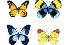 4ˮʺʸز