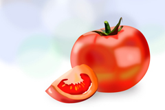 ɫʸز
