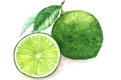 ˮʻɫʸز