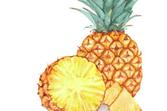 ʻζʸز