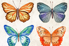 4ˮʺʸز