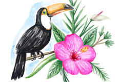 ˮʻͻʸز