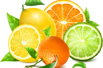 ʳӺʸز